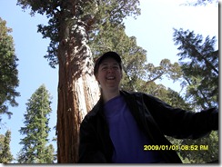 Sequoia Natl Park 059